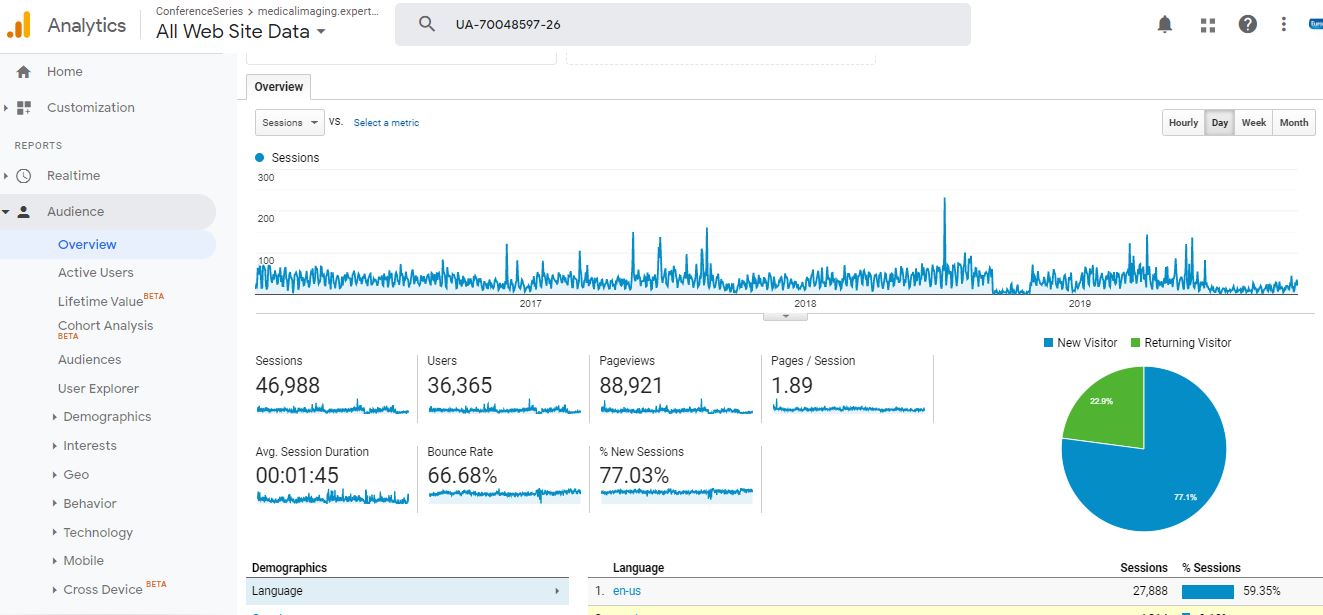 Visitor Analysis Report